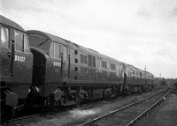 D6105 1959c Hornsey-ROneg-1801-074
