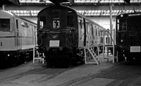 5707 1954-05-27 IRC Exhibition-ROneg645-1