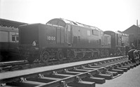 10100 1951-06-01 Eastbourne