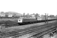 81002 1979-05-26 Whitmore