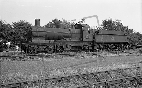 9017 1960c Sheffield Park Bluebell-ROneg-1407-199
