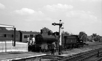 9017 1961c Bluebell-ROneg-1512-277