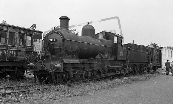 9017 1963-07-20 Sheffield Park Bluebell-ROneg-1809-48-026