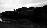 77003 1966-07-17 Stourton-ROneg-1704-109