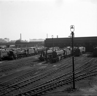 Shed view 1966-05-01 Warrington-ROneg-1406-156