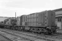 10800 1960 Derby