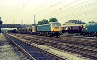 85003 1977-06-20 Springs Branch