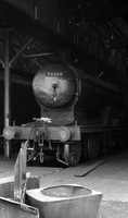 54486 1961-08-14 Perth-ROneg176-2