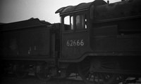 62666-Darnall ROneg3317