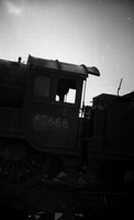 62666 Darnall -ROneg3322