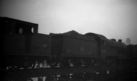 62666-Darnall ROneg3325