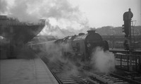 30851 1952-02-02 Guildford-ROneg-43-018