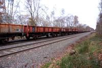 66002 2008-11-19 Sutton Park