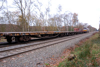 66002 2008-11-19 Sutton Park
