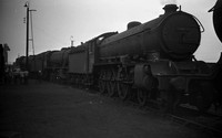61437-ROneg3245