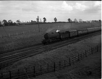 61420 check-ROneg--041