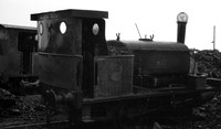 Industrial 1954-07-31 Wissington Light RailwayROneg-1901-205-017