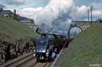60031 1960s Perth