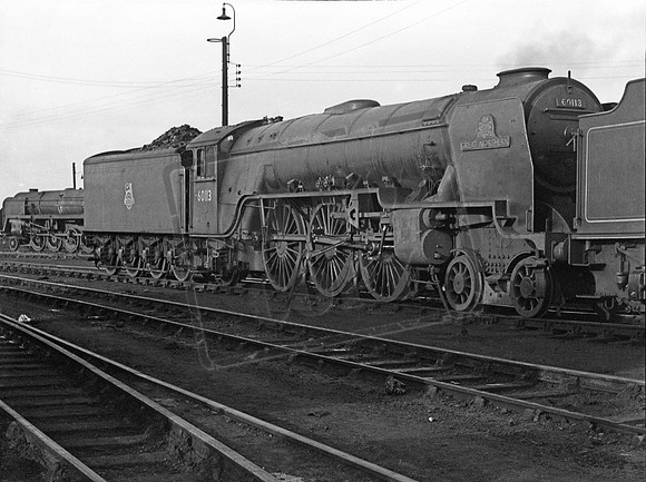 60113 1957-02-24 New England shed