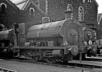 1143 1950s Danygraig shed