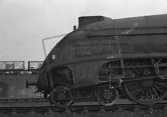 60004 1965-09-19 Neville Hill shed  RCTS railtour-ROneg-016