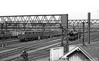 26011 1956 Guide Bridge