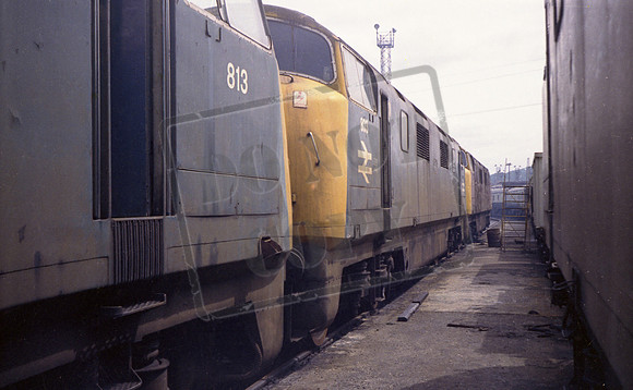 803 1972 Laira