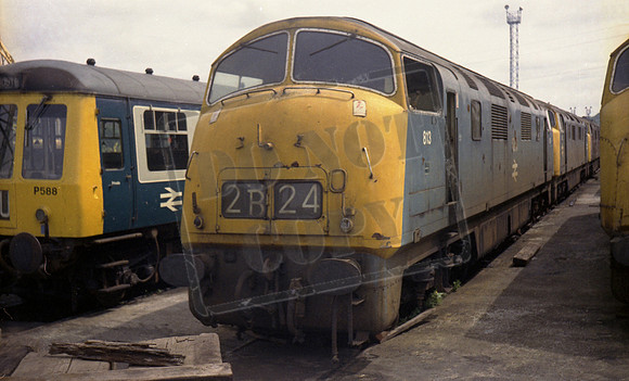 813 1972-06-23 Laira