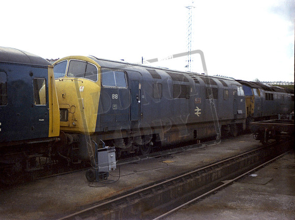 818 1973 Laira