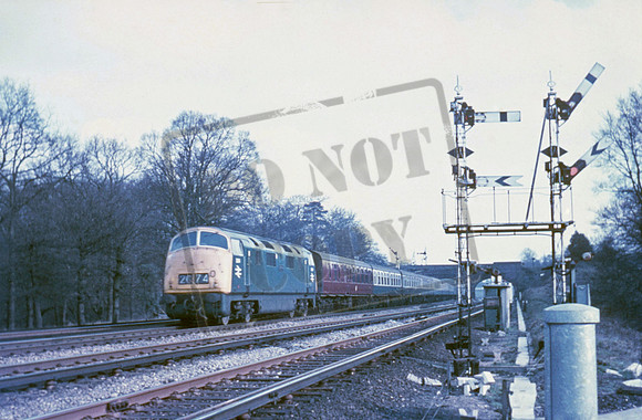 D804 1960s Weybridge