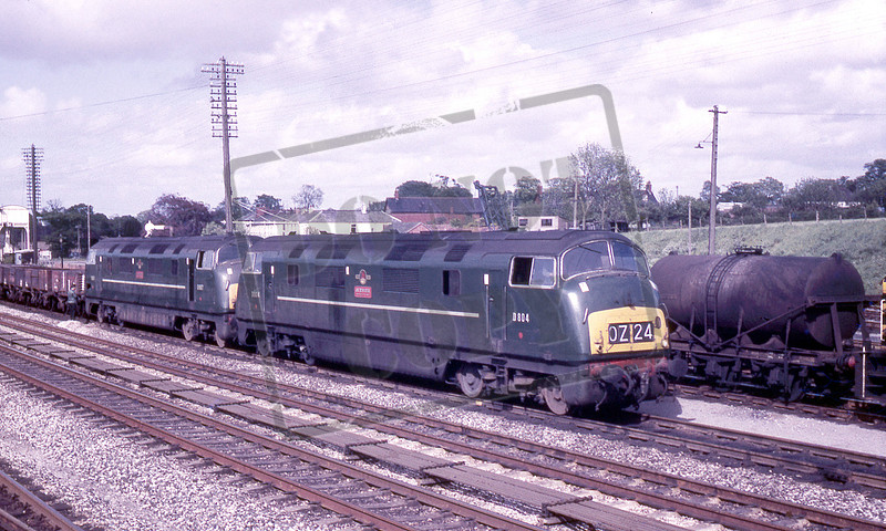 Rail-Online | Class 42 Warship | D804 1966-05-22 Tiverton Junction