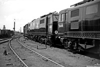 26021 1951-07-01 Gorton Works