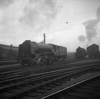 60526 1950s-ROneg-192