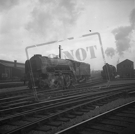 60526 1950s-ROneg-192