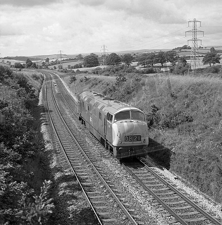 805 1972-08-11 Dainton West
