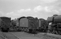 60800 1962-08-29 Doncaster Works-ROneg339-6