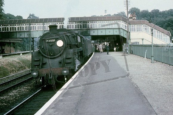 73081 1964-07-16 Farnborough