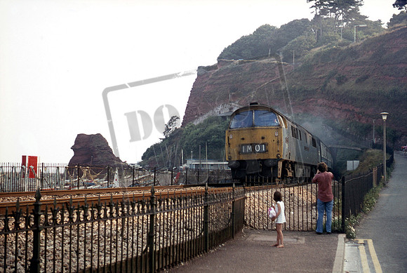 D1015 1975-08 Dawlish