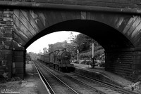 43859 1956-08-11 Stretton