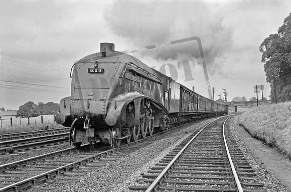 60013 1953 York Chaloners Whin