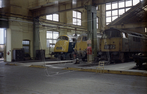D1011 1971-08-14 Swindon Works