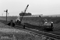 Line 1950s Radcliffe