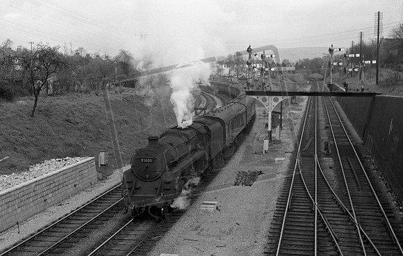 73135 1950s Cheltenham