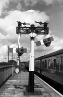Signal 1954-06-8 Kingham