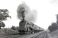 10 1948c Welwyn South