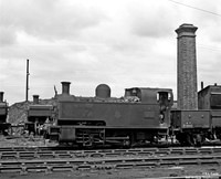 1101 1956-06-12 Danygraig