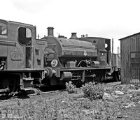 1151 1956-06-12 Danygraig