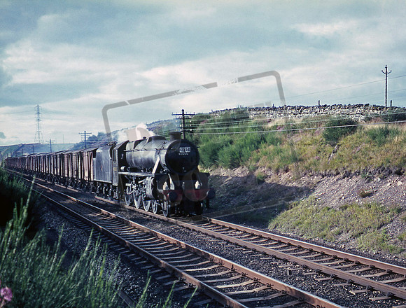 45000 1967-08-29  Shap Wells