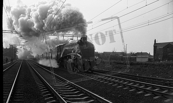 4498 1967 Crewe north-ROneg-1508-193