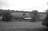 309xx 1960s near Dorking